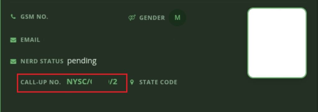 How to Check Your NYSC Call Up Number sample